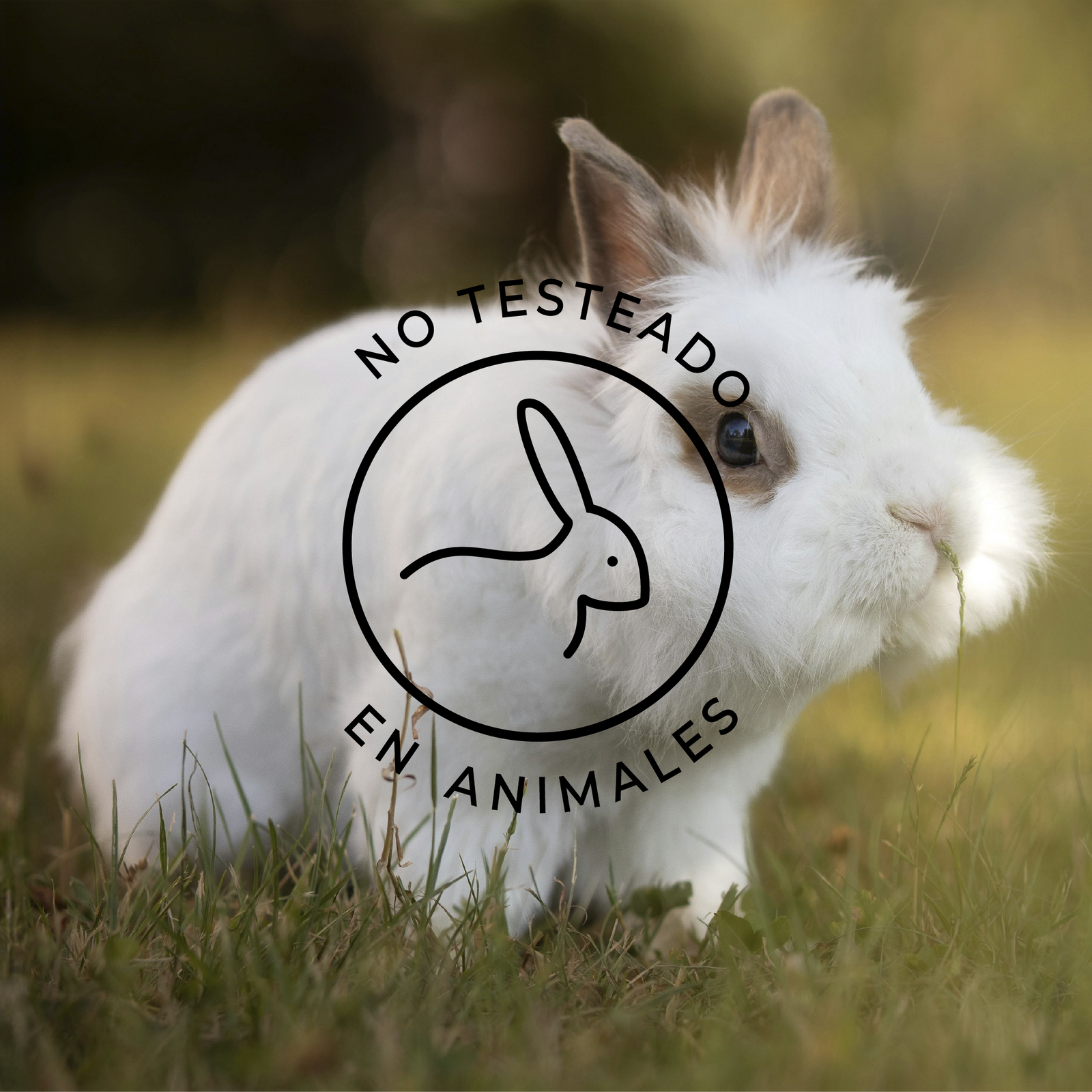 Cruelty free